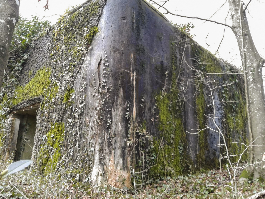 Ligne Maginot - MONTZECHANNE - (Blockhaus pour canon) - Vue de la face Est, non enduite