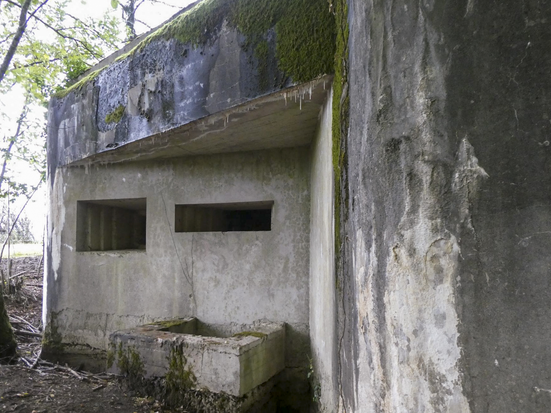 Ligne Maginot - MY4 - (Blockhaus lourd type STG / STG-FCR - Simple) - Les créneaux pour canon et mitrailleuse - ELLENA - CUNY
