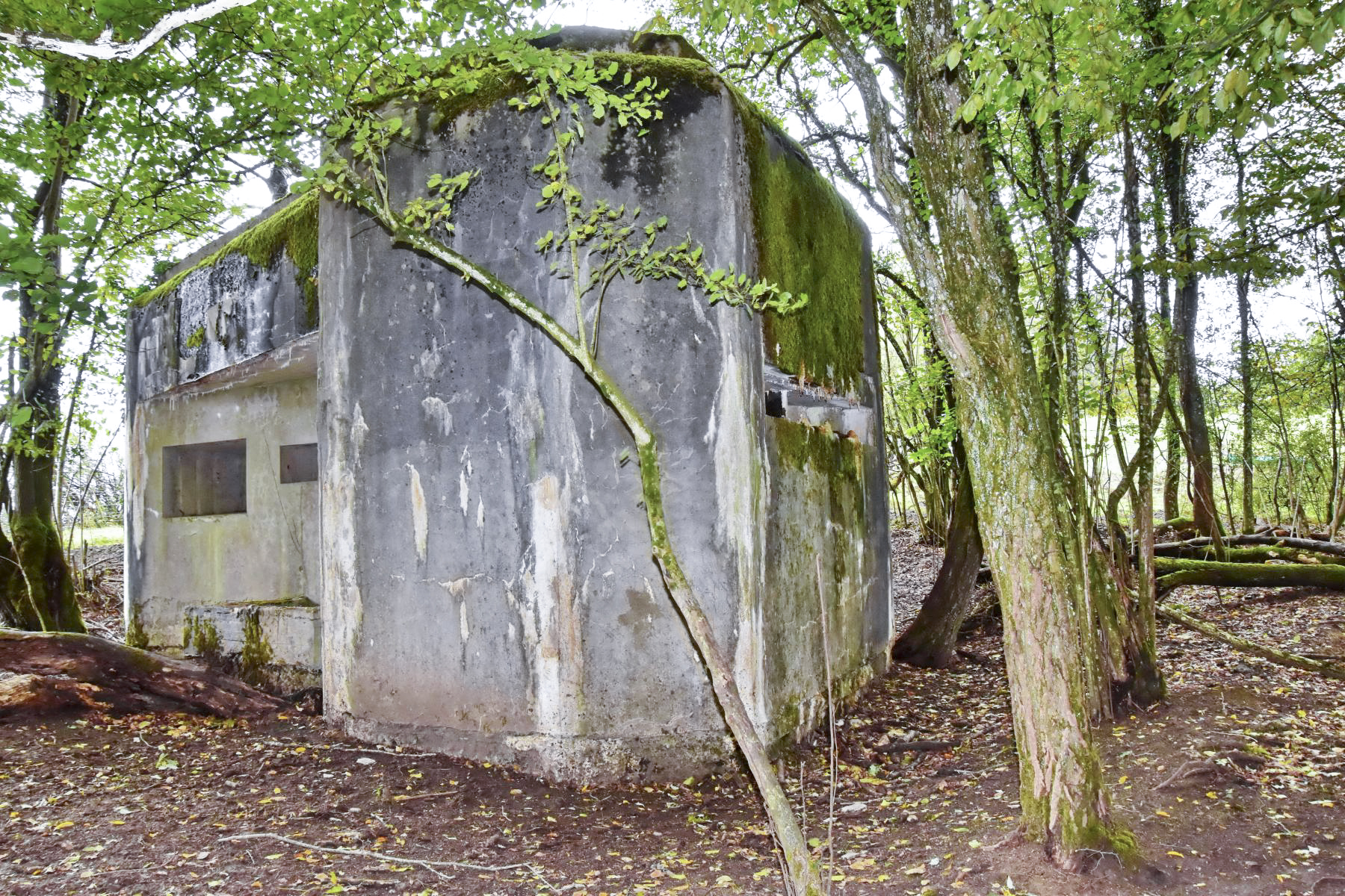 Ligne Maginot - MY4 - (Blockhaus lourd type STG / STG-FCR - Simple) - Les créneaux