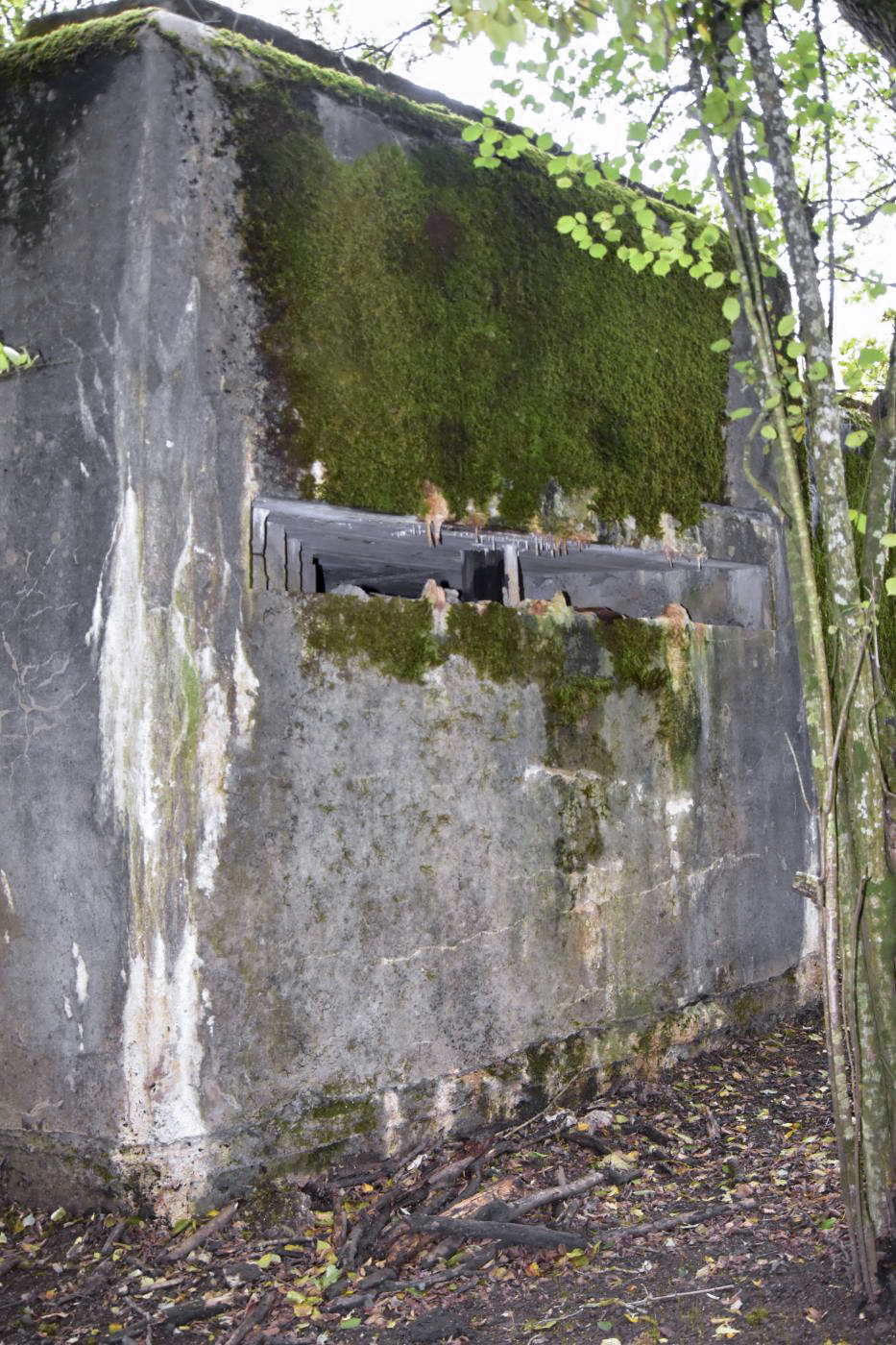 Ligne Maginot - MY4 - (Blockhaus lourd type STG / STG-FCR - Simple) - L'observatoire - D.Froehly