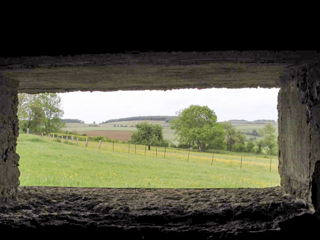 Ligne Maginot - MY6 - (Blockhaus lourd type STG / STG-FCR - Double) - Vue vers le nord; la colline de l'ouvrage le Chenois