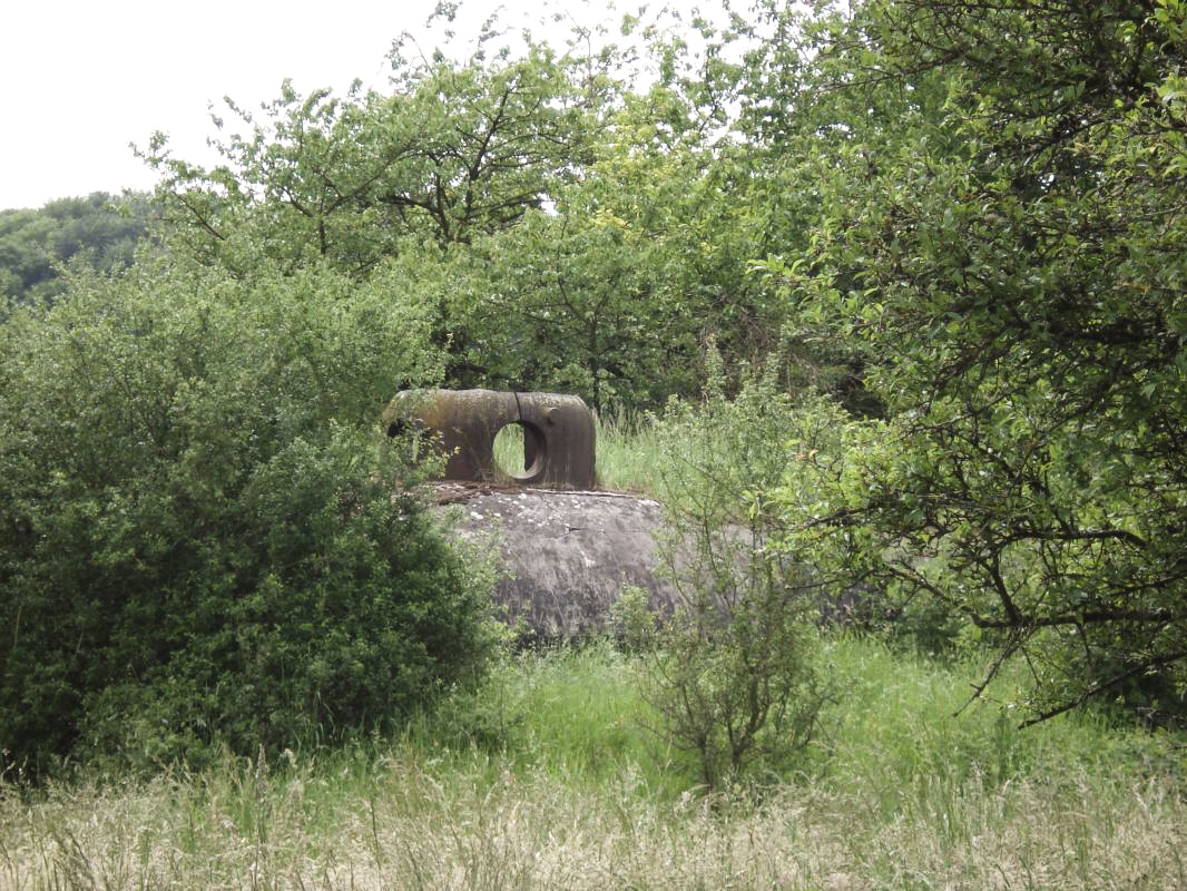 Ligne Maginot - MY8 - LAITERIE - (Casemate d'artillerie) - 