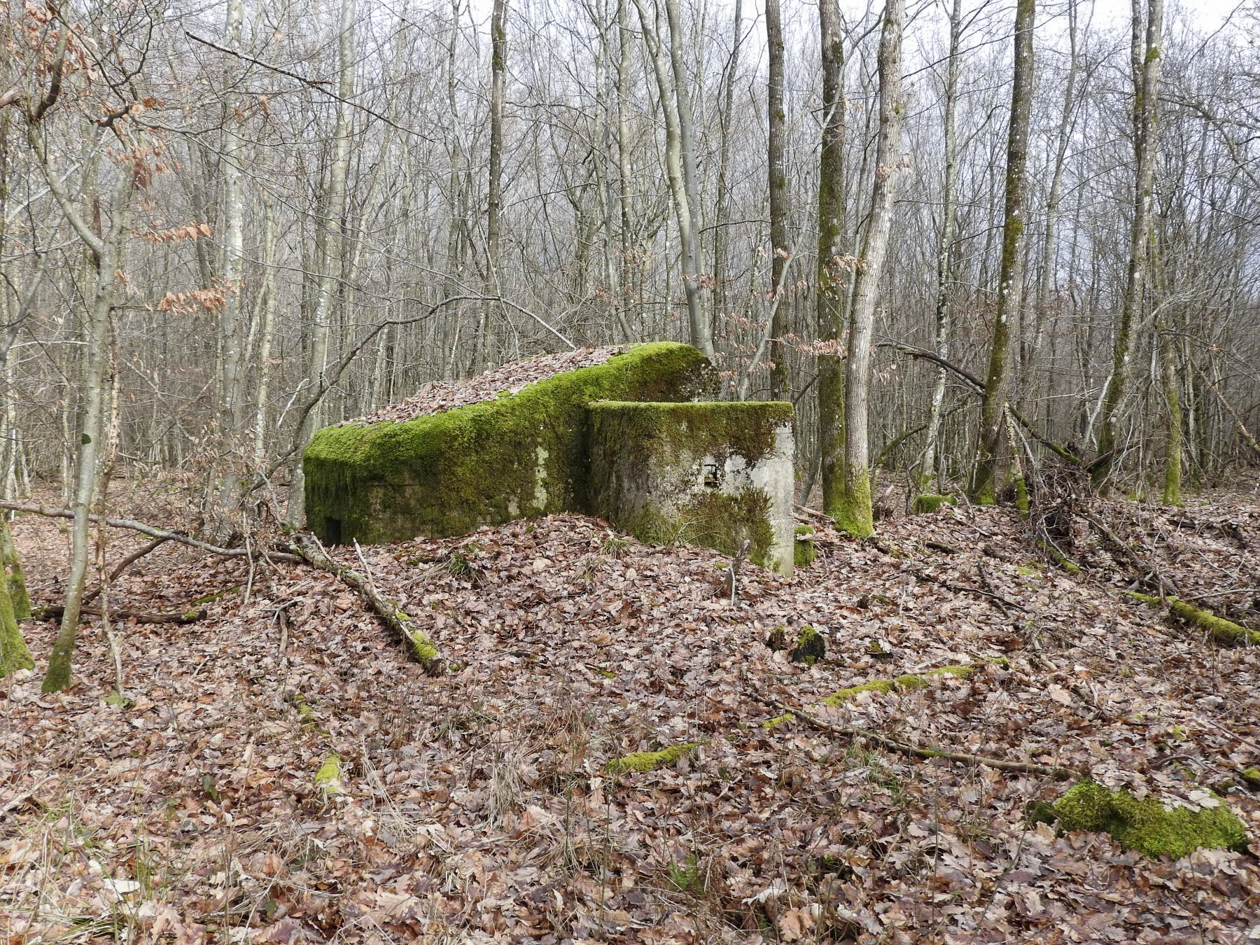Ligne Maginot - SCHEIDWALD 10 - (Blockhaus pour arme infanterie) - La façade de tir. - STENGER Mathieu