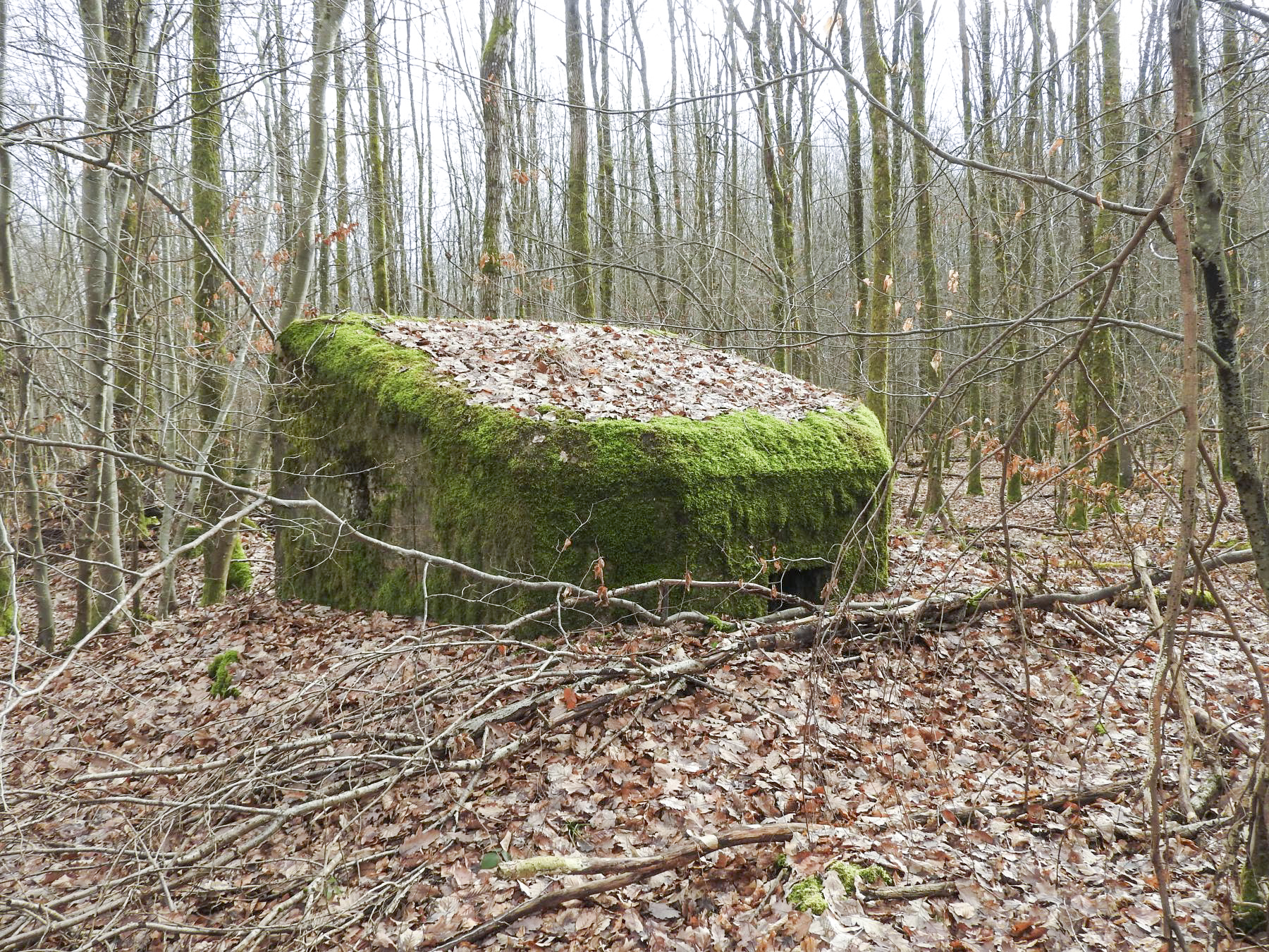 Ligne Maginot - SCHEIDWALD 10 - (Blockhaus pour arme infanterie) - La façade de tir. - STENGER Mathieu