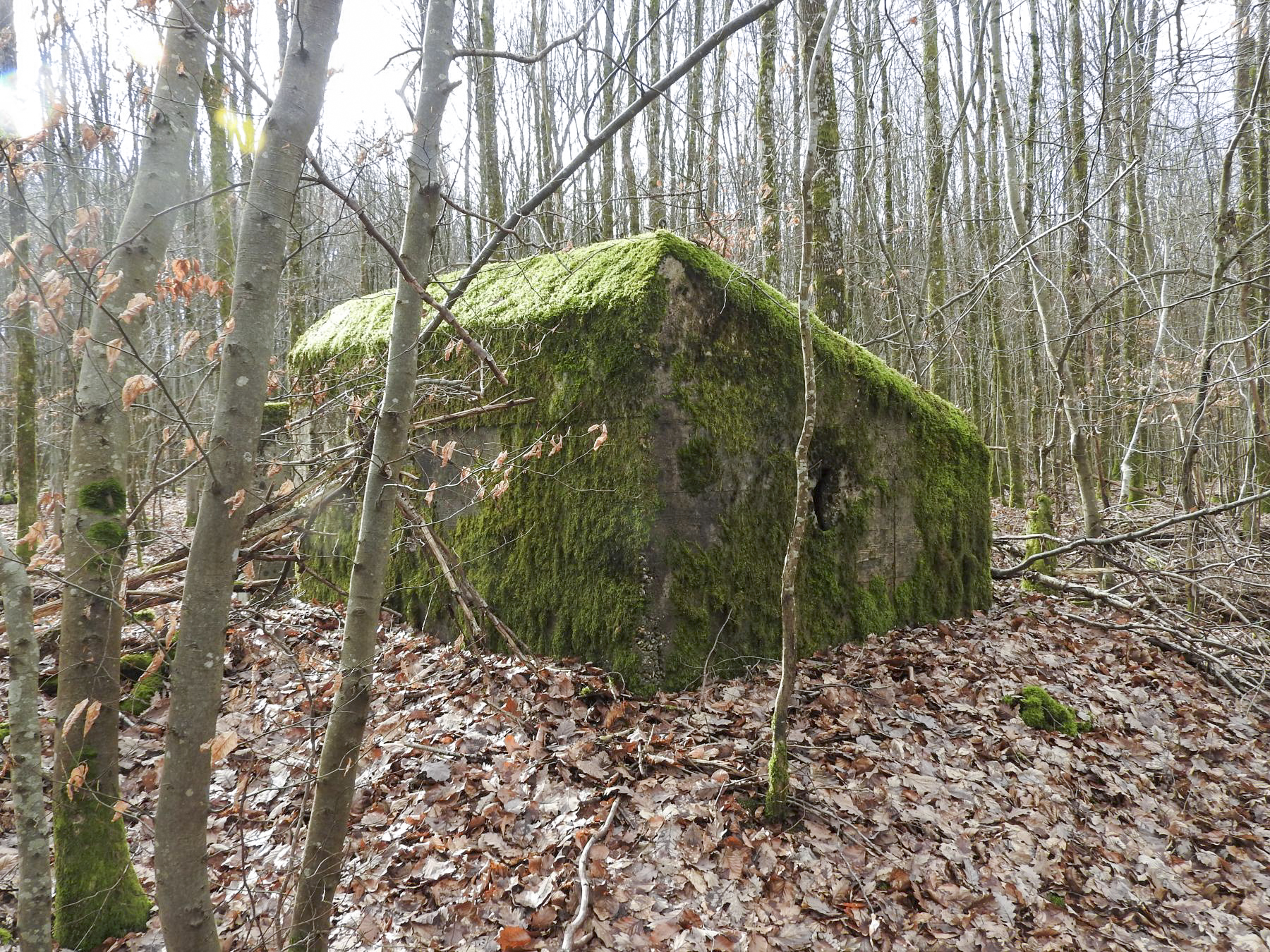 Ligne Maginot - SCHEIDWALD 10 - (Blockhaus pour arme infanterie) - L'arrière du blockhaus. - STENGER Mathieu