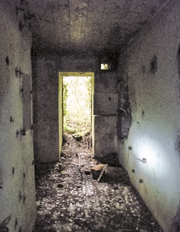 Ligne Maginot - My13 - VILLECLOYE (Casemate d'artillerie) - 