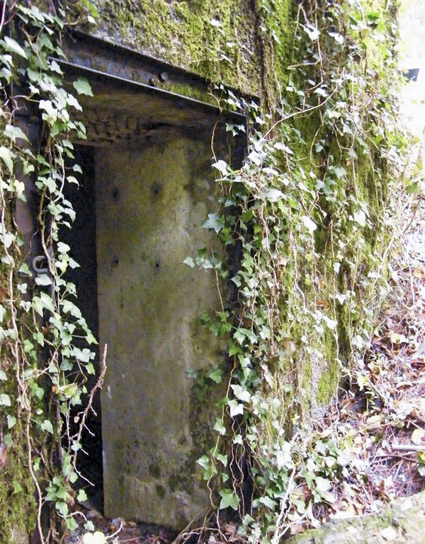 Ligne Maginot - My13 - VILLECLOYE (Casemate d'artillerie) - 