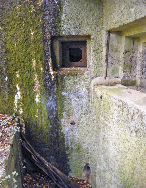 Ligne Maginot - My13 - VILLECLOYE (Casemate d'artillerie) - 