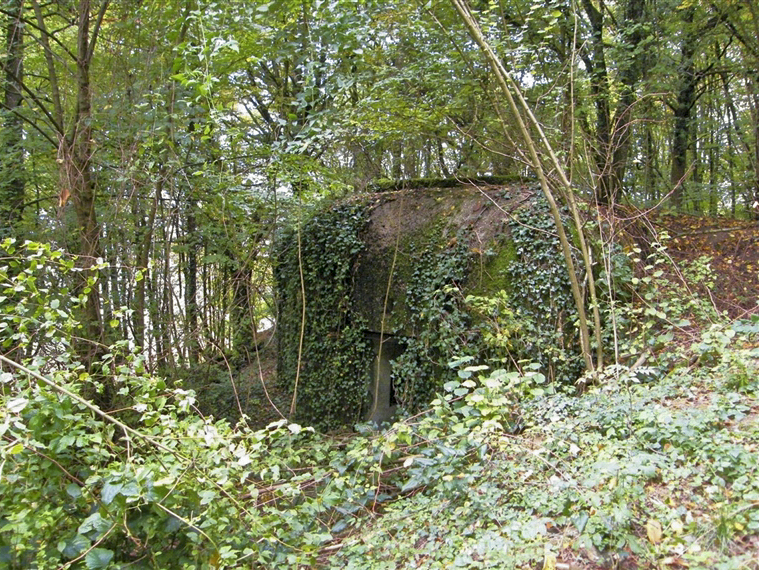 Ligne Maginot - My13 - VILLECLOYE (Casemate d'artillerie) - 