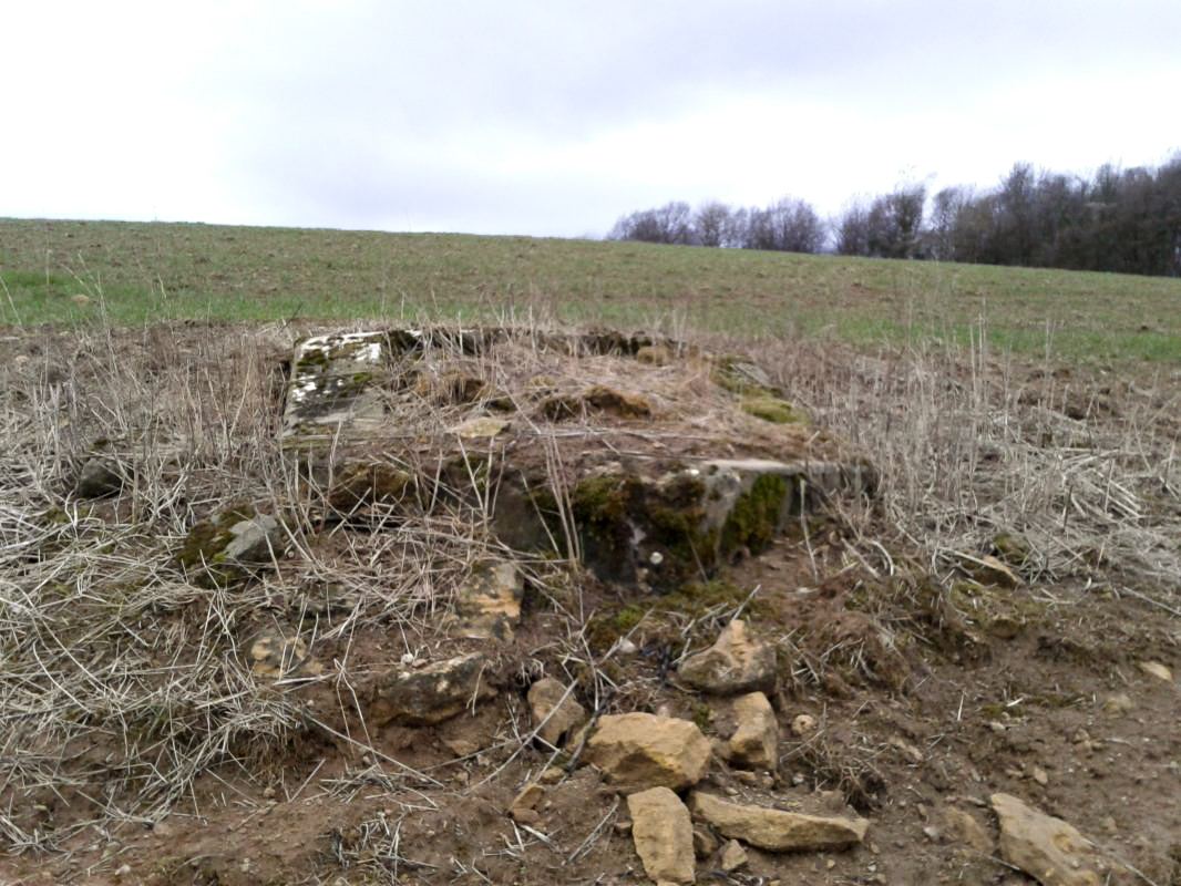 Ligne Maginot - PESELY - (Observatoire indeterminé) - Vue de face.