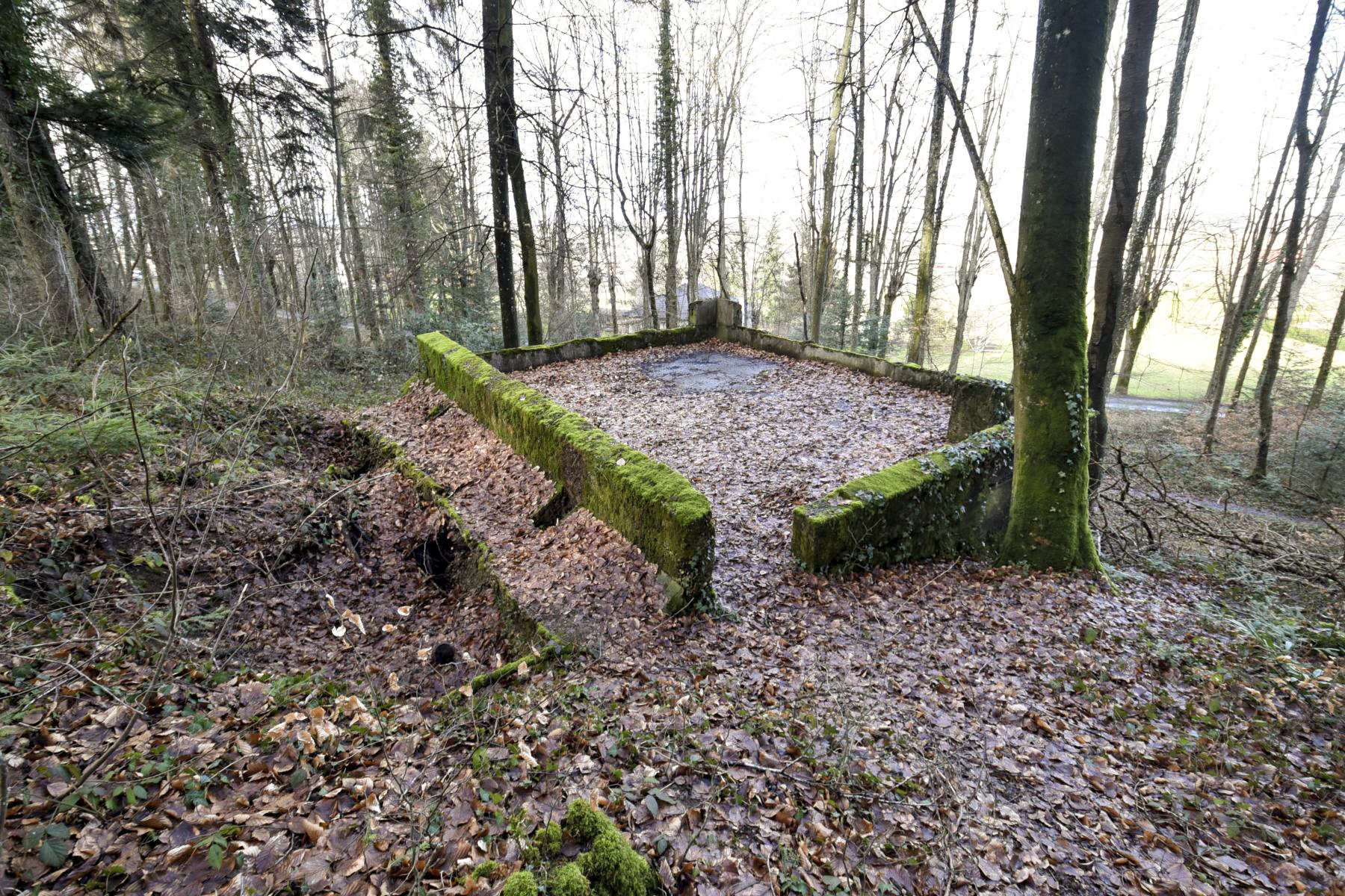 Ligne Maginot - SAMSTAGBERG - (Abri) - Le toit - Ludovic KNAPP