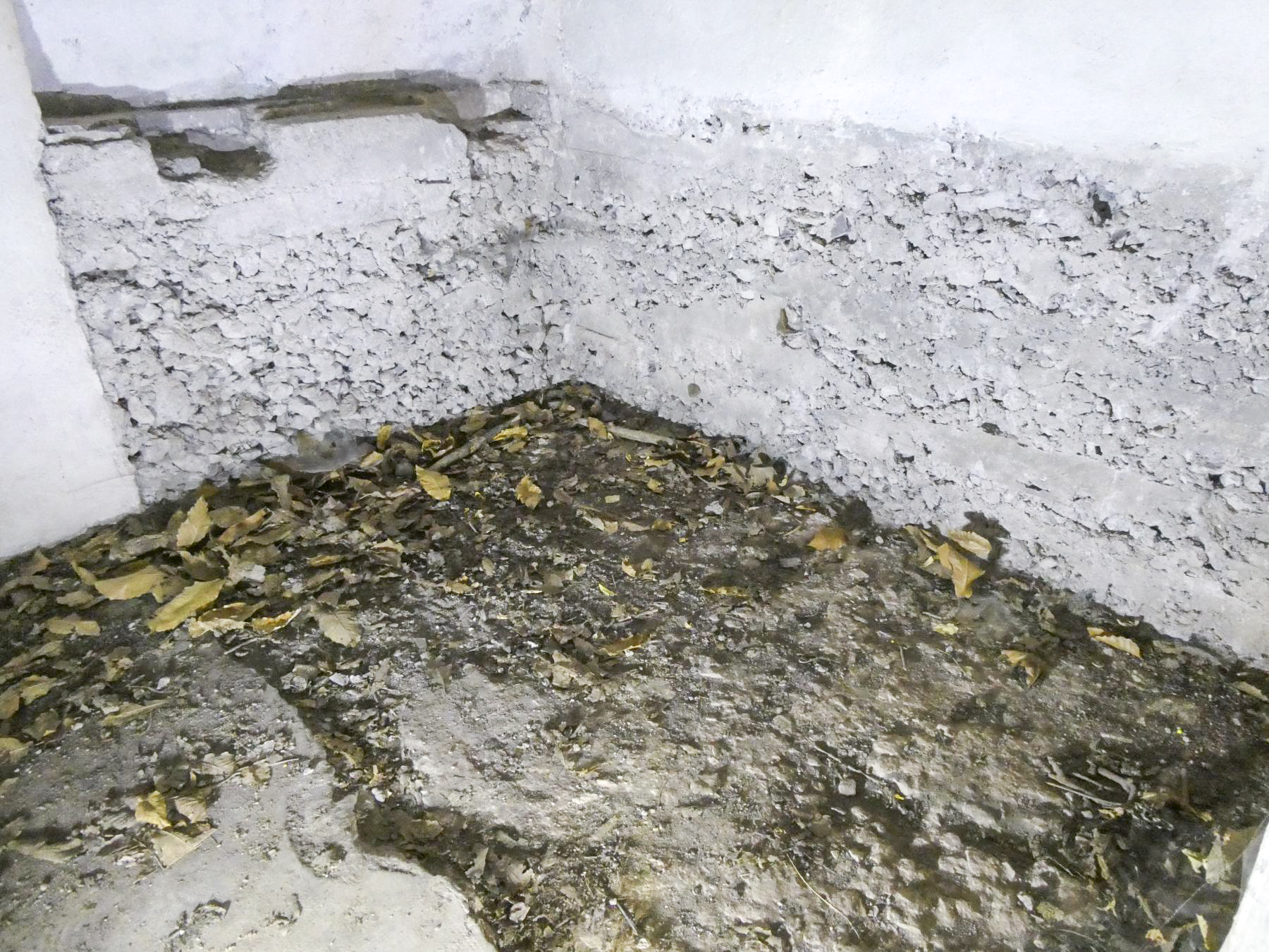 Ligne Maginot - PLANET - (Ouvrage d'infanterie) - Bloc 6
Emplacement du châssis, probablement en bois, qui supportait la mitrailleuse - ELLENA Daniel - CUNY Philippe