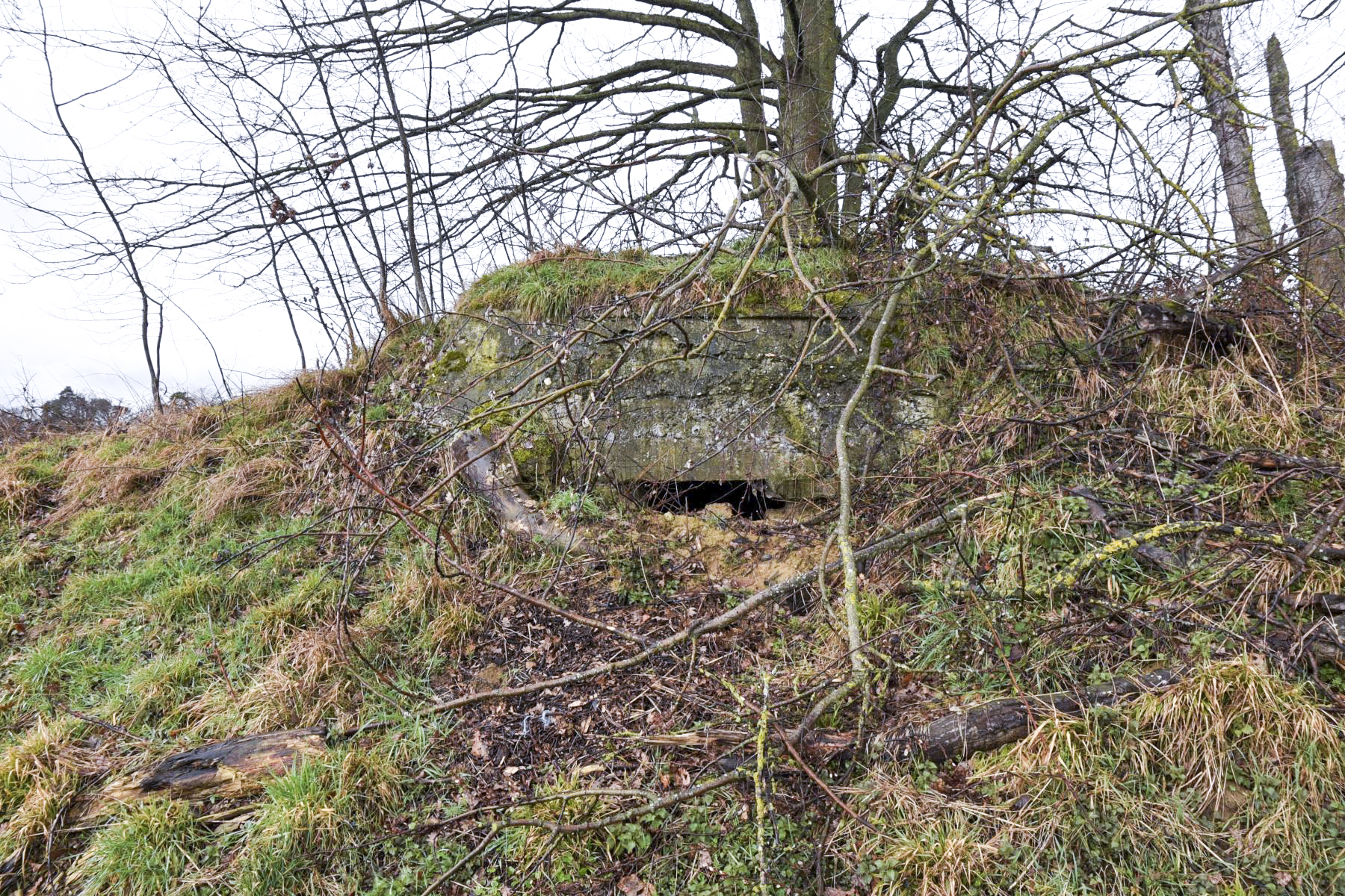 Ligne Maginot - FERME SAINT JACQUES 3 - (Blockhaus de type indéterminé) -  - Ludovic KNAPP