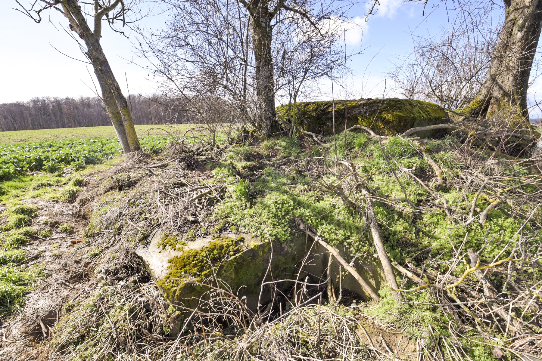 Ligne Maginot - LERCHENBERG - (Blockhaus de type indéterminé) -  - Ludovic KNAPP