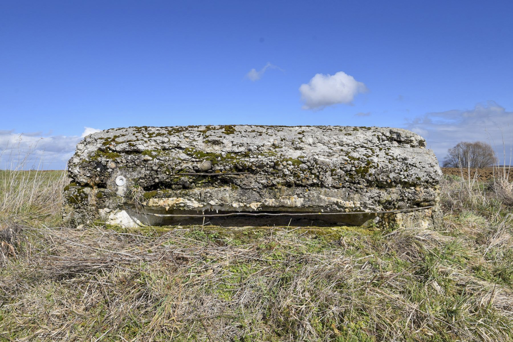 Ligne Maginot - VOGELSACKER - (Observatoire indéterminé) -  - Ludovic KNAPP