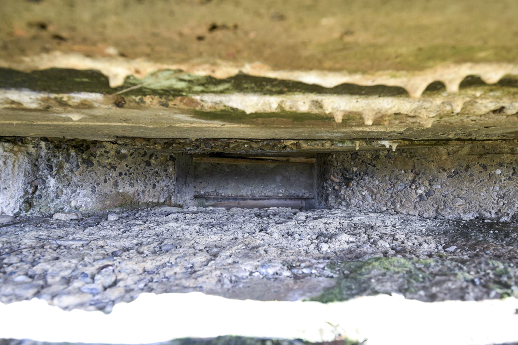 Ligne Maginot - VOGELSACKER - (Observatoire indéterminé) -  - Ludovic KNAPP