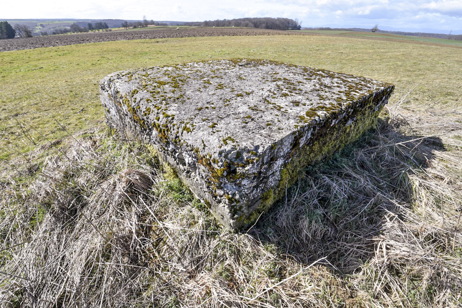 Ligne Maginot - VOGELSACKER - (Observatoire indéterminé) -  - Ludovic KNAPP