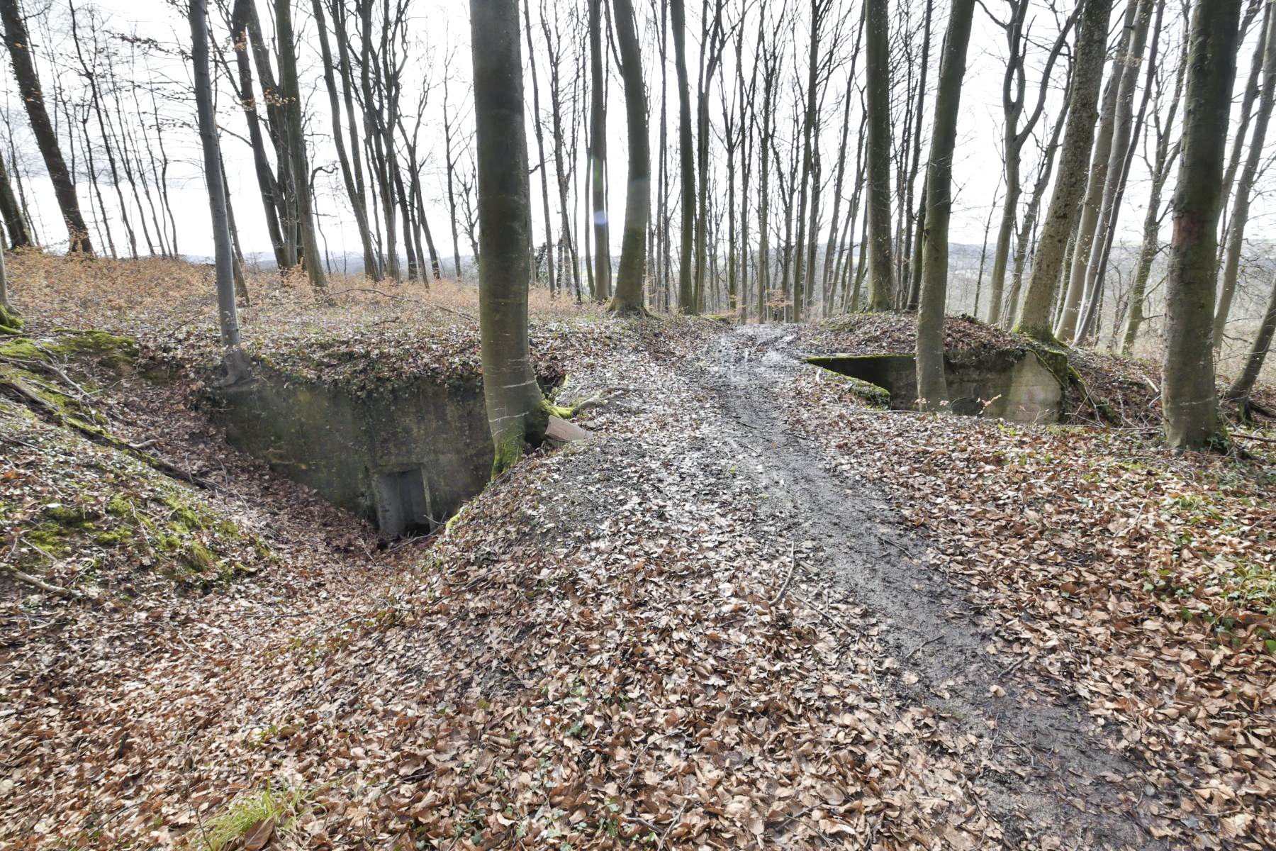 Ligne Maginot - BANHOLZ - (Abri) -  - Ludovic KNAPP