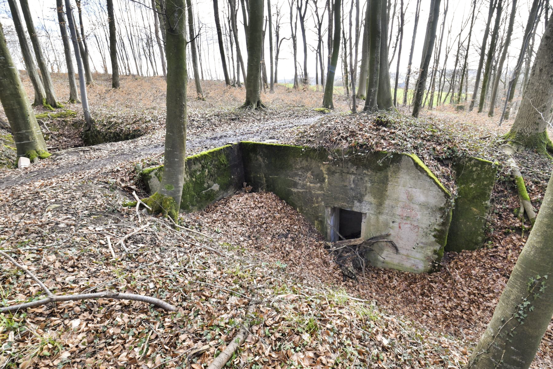 Ligne Maginot - BANHOLZ - (Abri) -  - Ludovic KNAPP