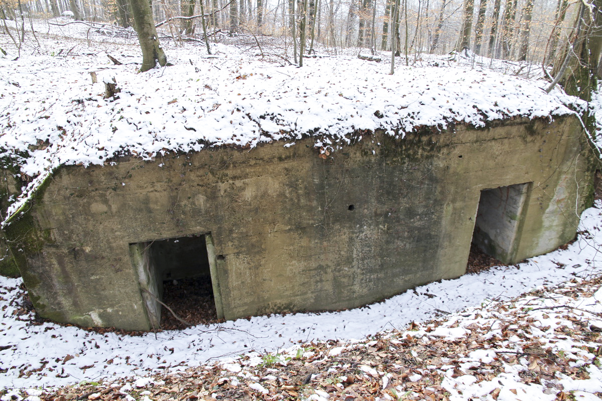 Ligne Maginot - BANHOLZ - (Abri) - Autre abri à proximité. 
