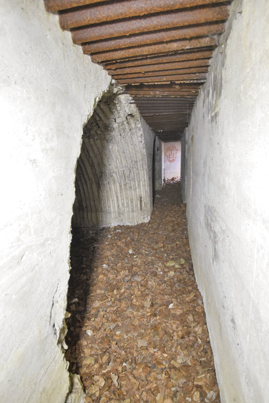 Ligne Maginot - BANHOLZ - (Abri) -  - Ludovic KNAPP