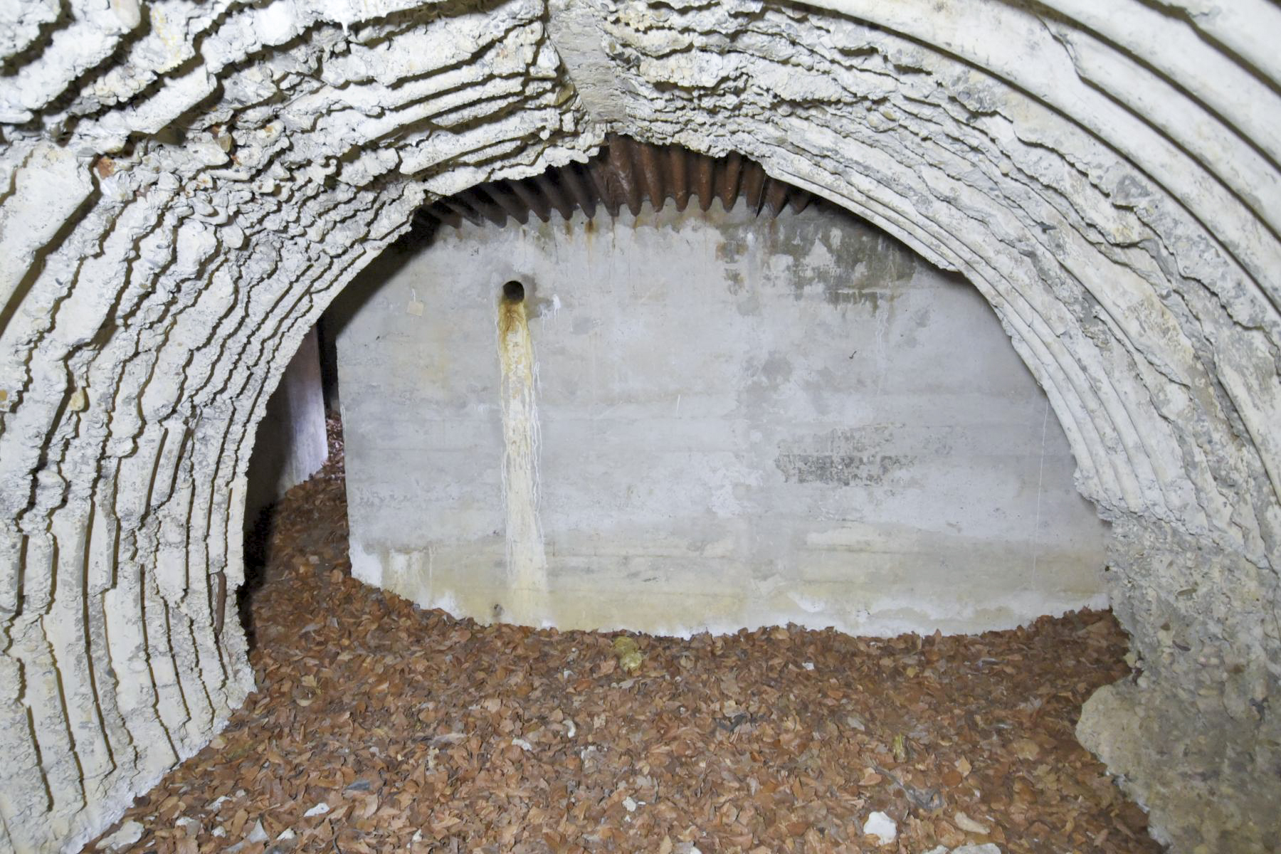 Ligne Maginot - BANHOLZ - (Abri) -  - Ludovic KNAPP