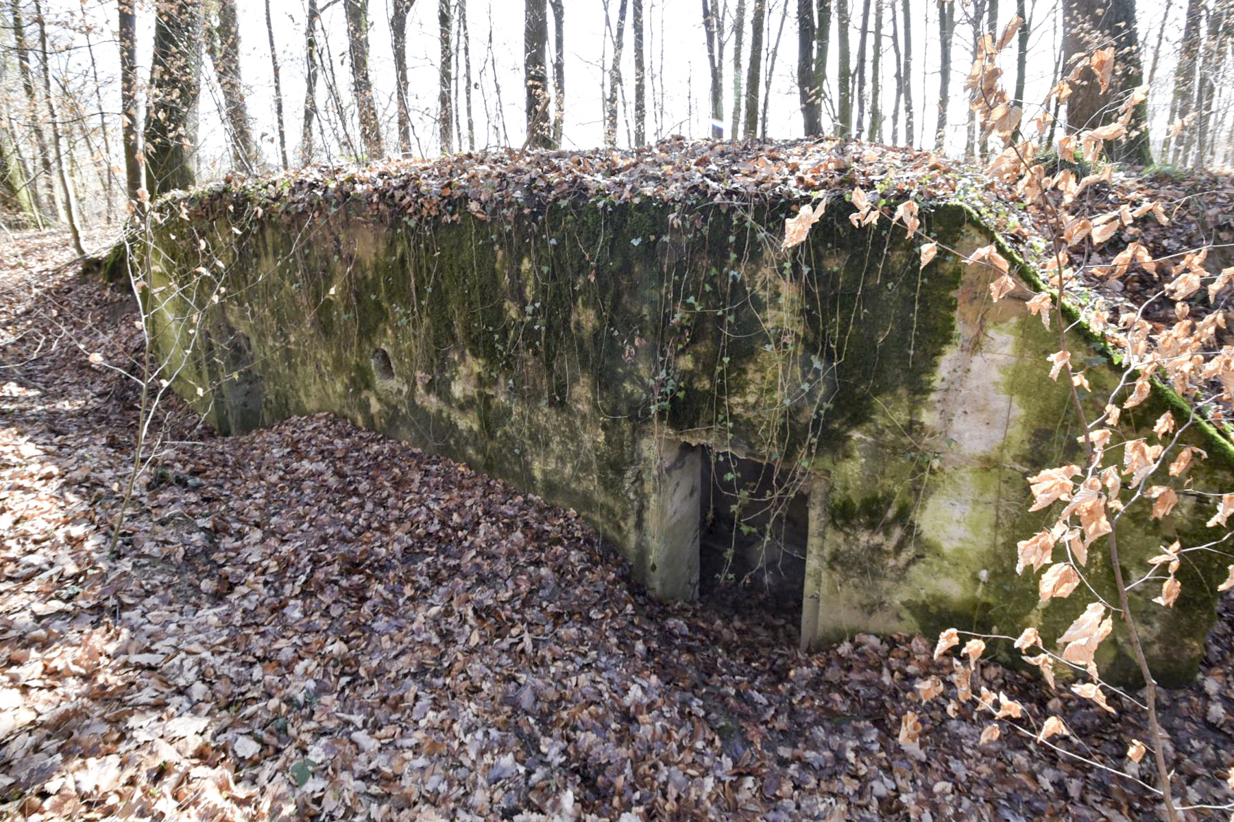 Ligne Maginot - RUETTENNENHOLZ - (Abri) -  - Ludovic KNAPP