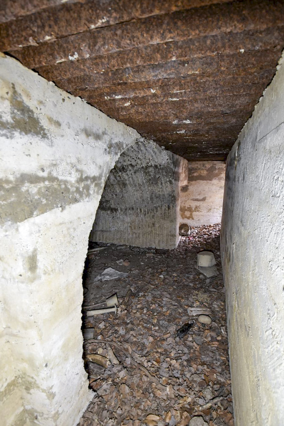 Ligne Maginot - RUETTENNENHOLZ - (Abri) -  - Ludovic KNAPP