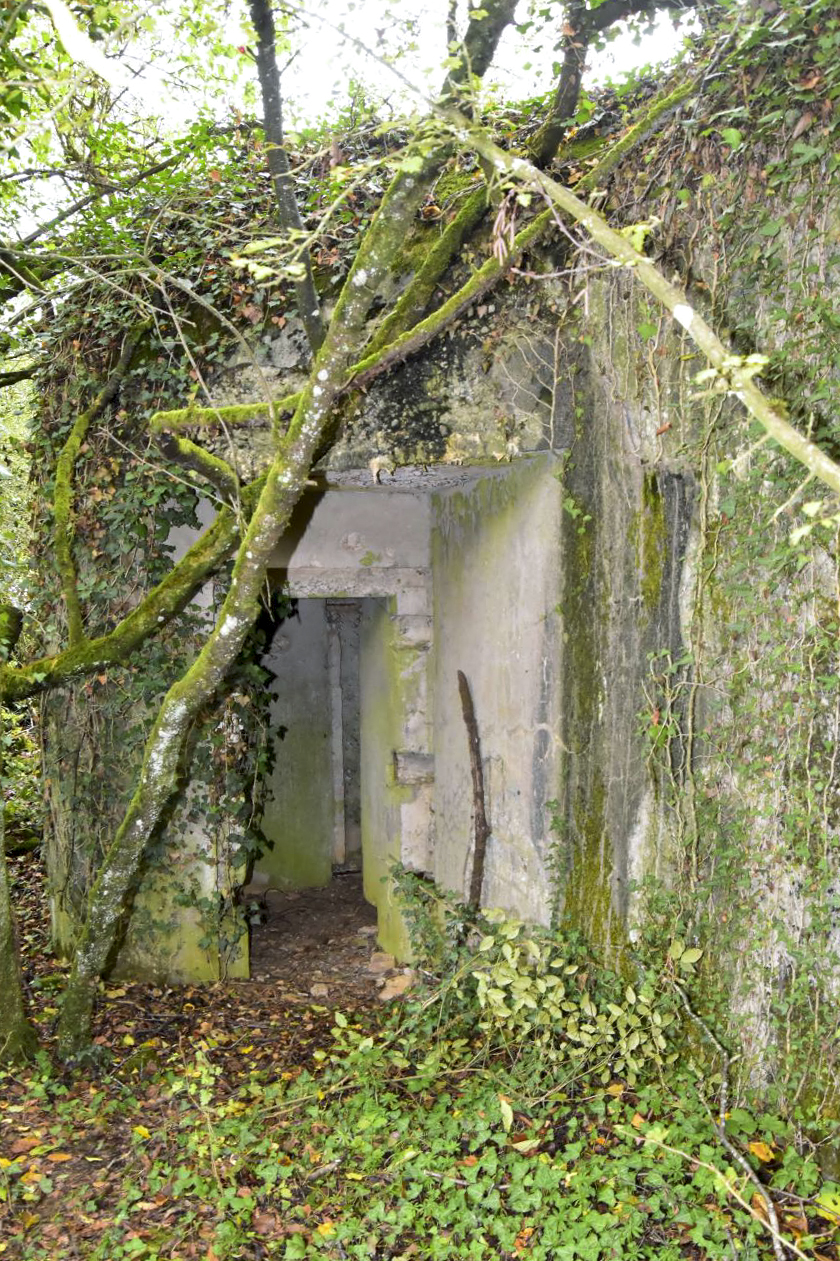 Ligne Maginot - SAINT WALFROY (4° BON - 155° RIF) - (PC de Quartier) - L'entrée de gauche - D.Froehly