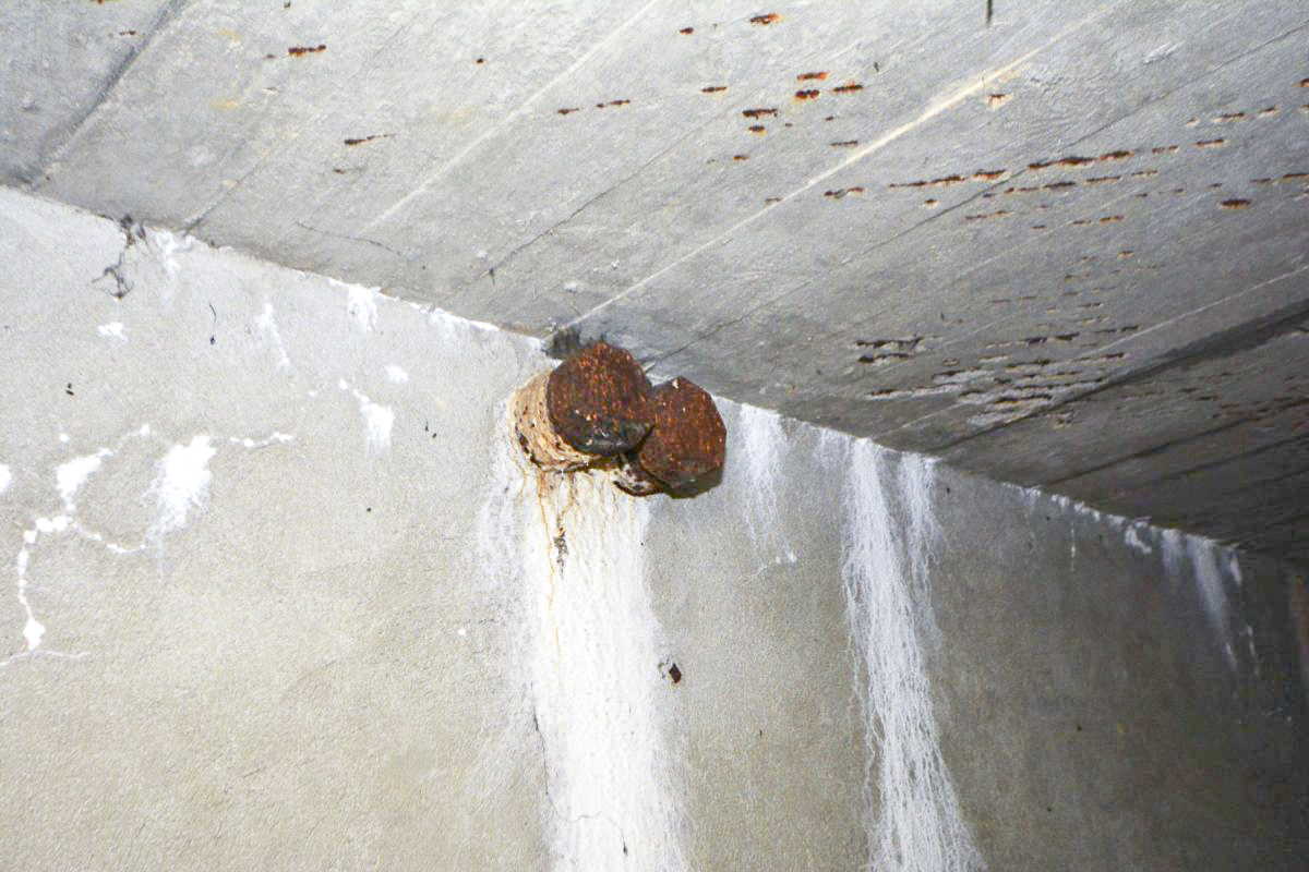 Ligne Maginot - SAINT WALFROY (4° BON - 155° RIF) - (PC de Quartier) - Deux fourreaux acier débouchant sur l'extérieur