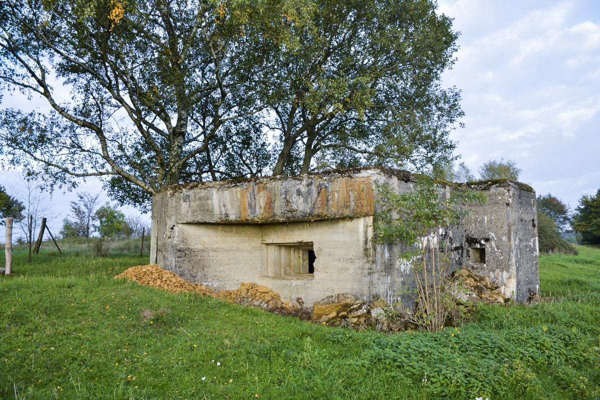 Ligne Maginot - SAINT WALFROY EST - (Blockhaus pour canon) -  - LAMBERT Pascal