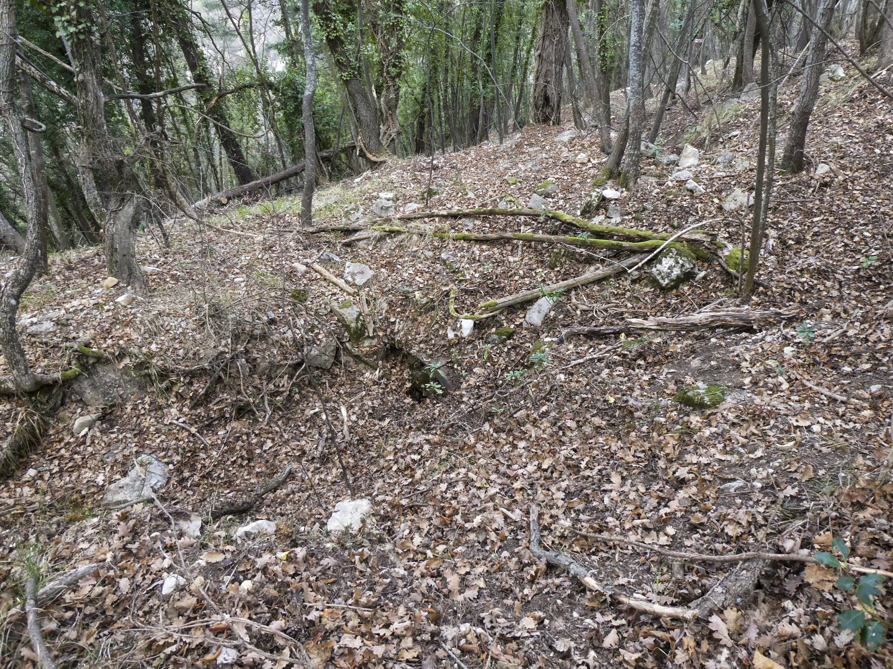 Ligne Maginot - BARBONNET 3 - (Abri) - L'abri est complétement enterré. - ELLENA Daniel - CUNY Philippe