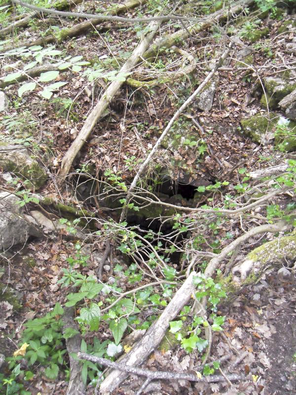 Ligne Maginot - BARBONNET 3 - (Abri) - 