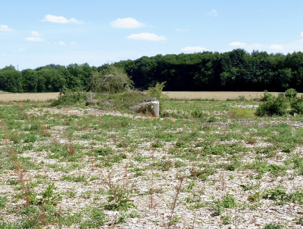 Ligne Maginot - BOURENE OUEST - C21 - (Casemate d'infanterie - Simple) - La casemate bien défrichée
2022 - Sylvie Laure LAMBERT