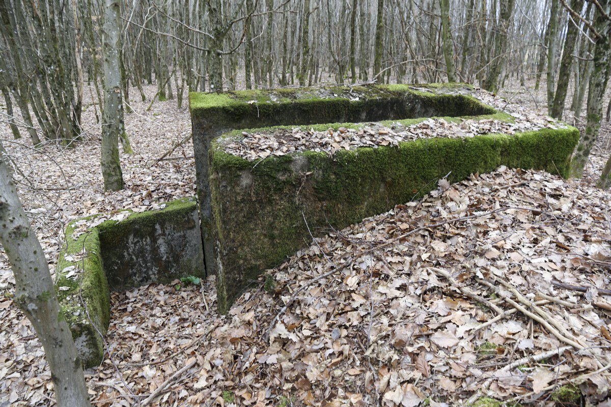 Ligne Maginot - SCHEIDWALD 11 - (Blockhaus pour arme infanterie) - Entrée
 - Alain Perouffe
