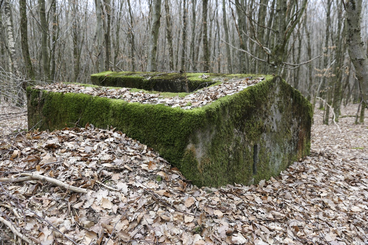 Ligne Maginot - SCHEIDWALD 11 - (Blockhaus pour arme infanterie) -  - Alain Perouffe
