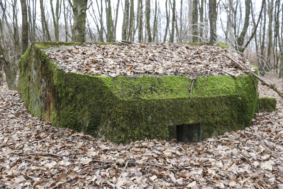 Ligne Maginot - SCHEIDWALD 11 - (Blockhaus pour arme infanterie) -  - Alain Perouffe