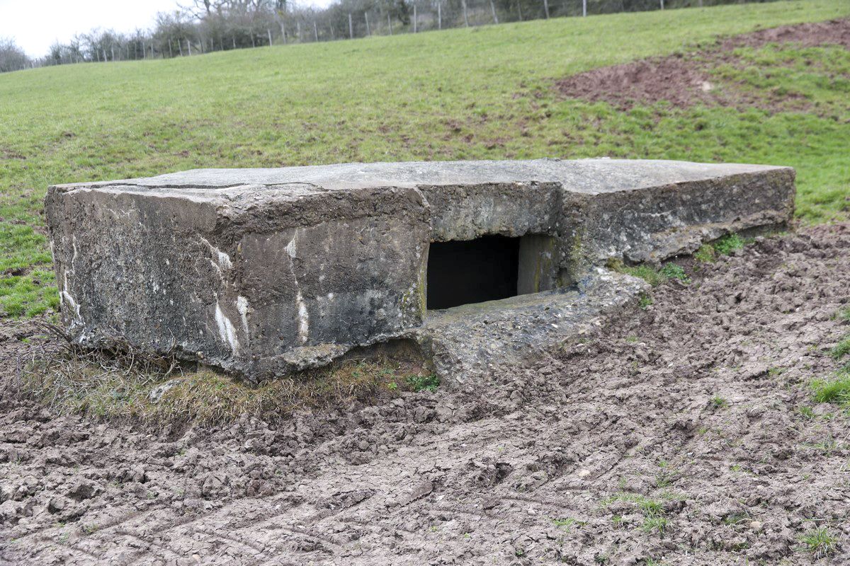Ligne Maginot - DRIESCHBERG 3 - (Blockhaus pour arme infanterie) -  - Alain Perouffe