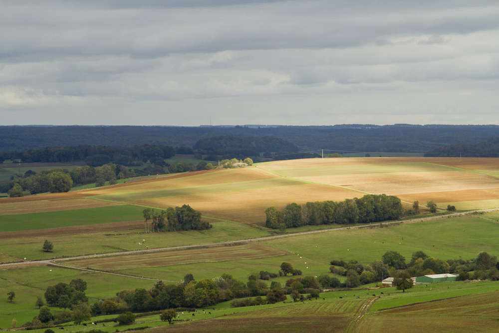 Ligne Maginot - SAPOGNE - (Ouvrage d'infanterie) - La casemate vue depuis l'observatoire de Saint Walfroy