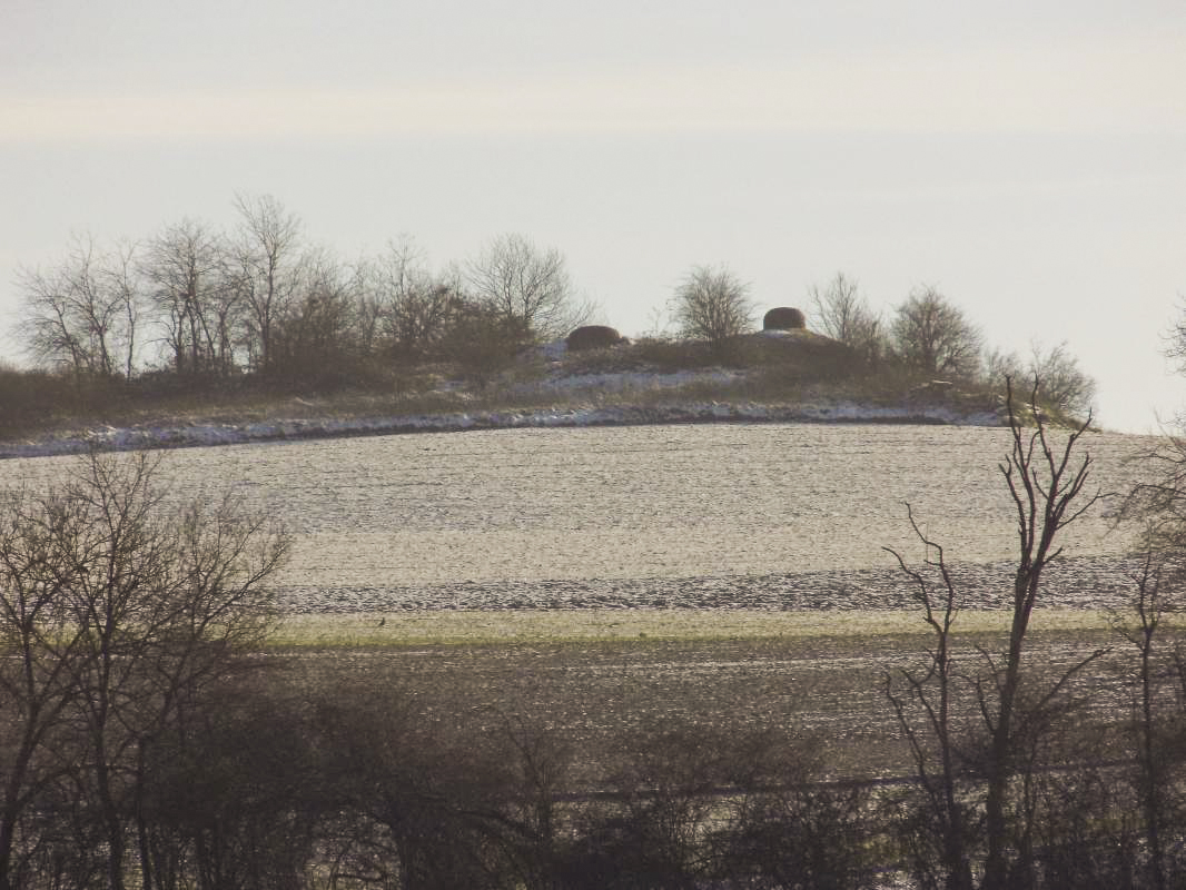 Ligne Maginot - SAPOGNE - (Ouvrage d'infanterie) - Pris du nord ouest