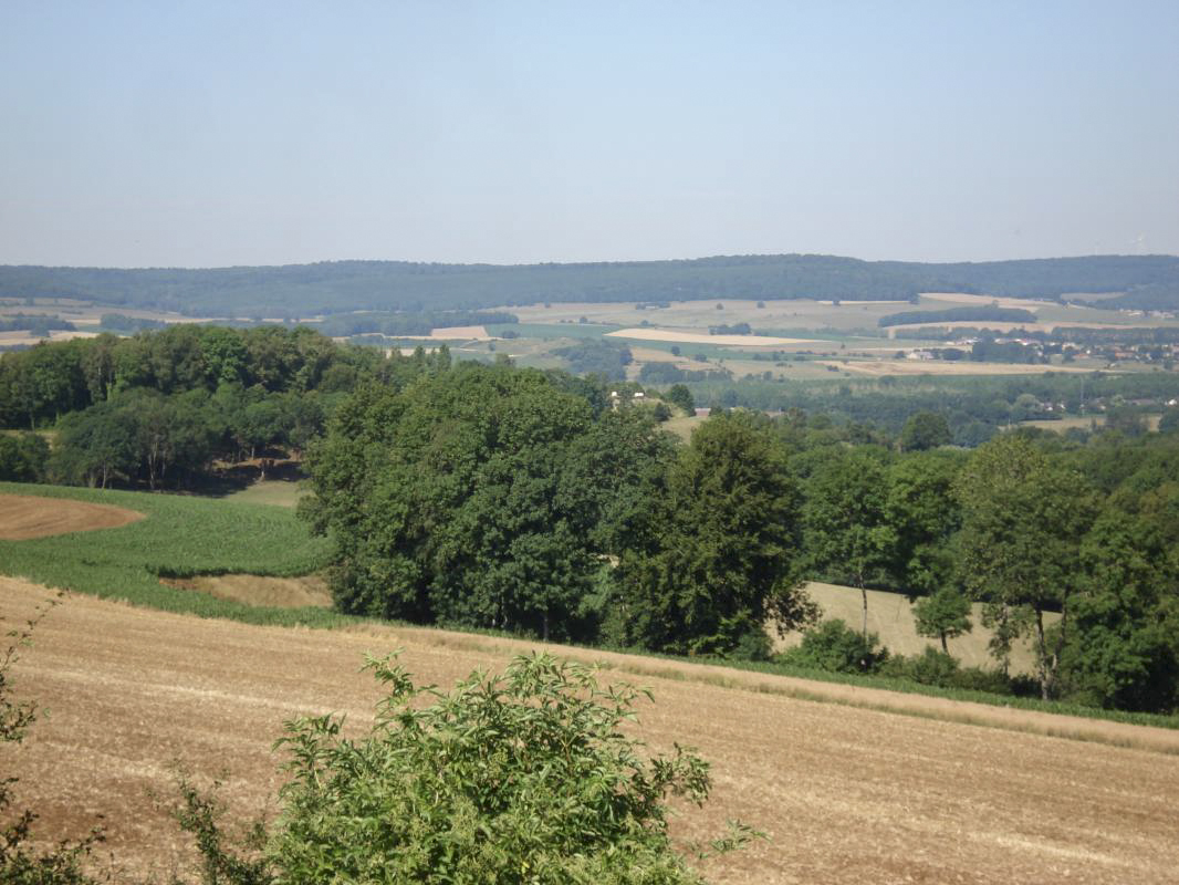 Ligne Maginot - SAPOGNE - (Ouvrage d'infanterie) - Vers l'ouest, casemate Sainte Marie tout au milieu (les cloches avec la peinture crème).