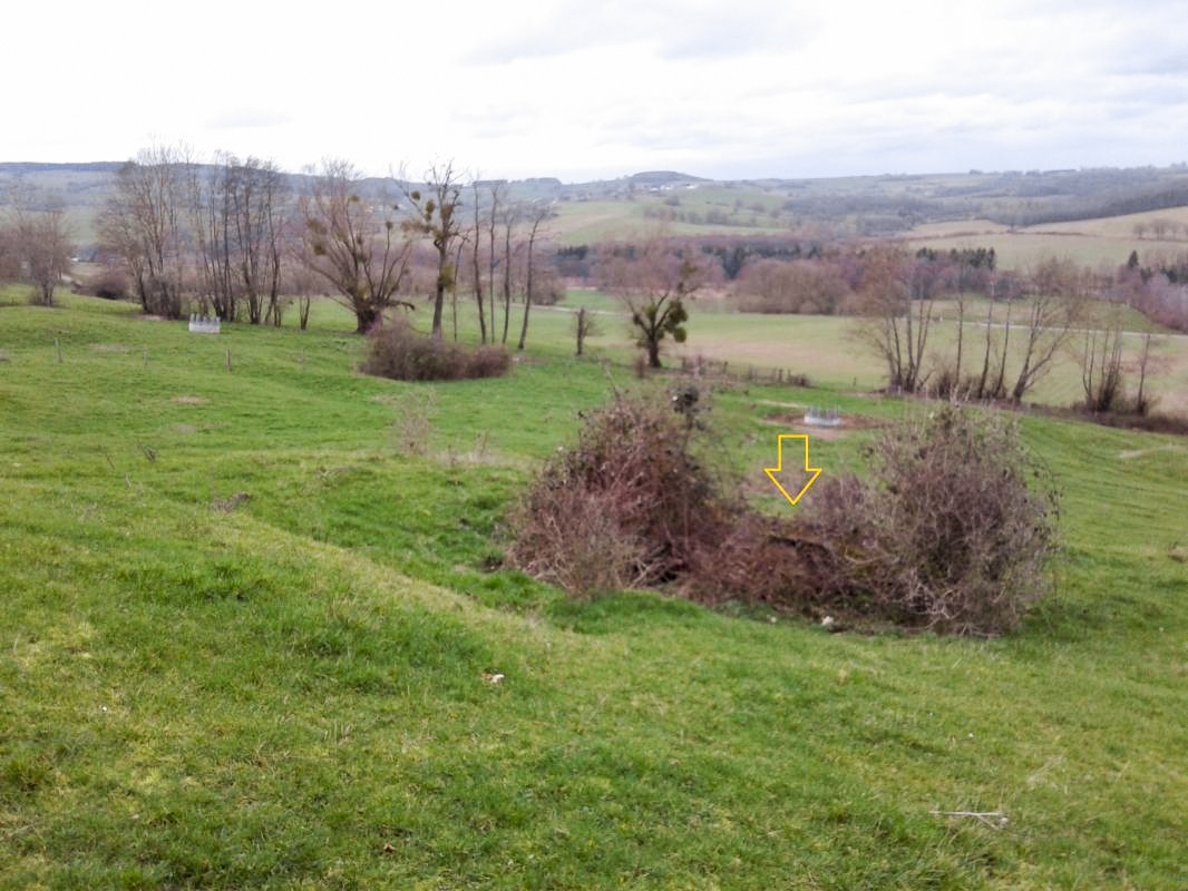 Ligne Maginot - T17BIS - (Cuve pour arme d'infanterie) - Vue Est.
L'emplacement se situe dans le bosquet. - Fabrice THOMASSIN
