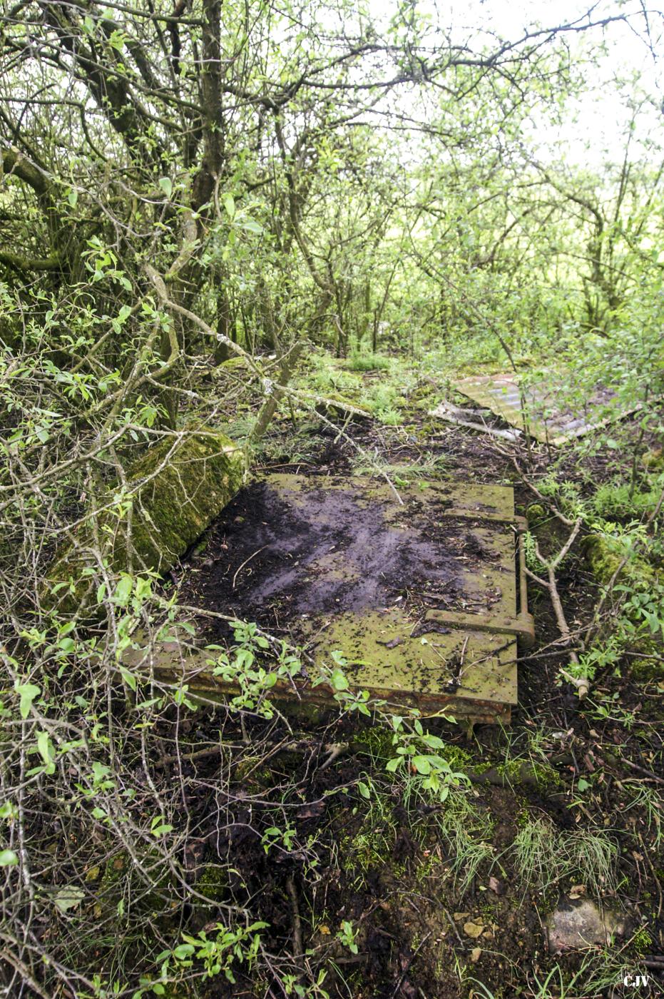 Ligne Maginot - 81 - (Chambre de coupure) -  - Lia VERMEULEN