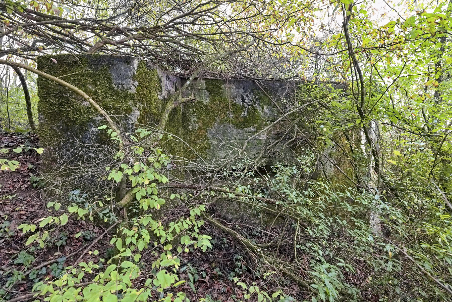 Ligne Maginot - A18 - (Blockhaus pour canon) -  - thierry caland