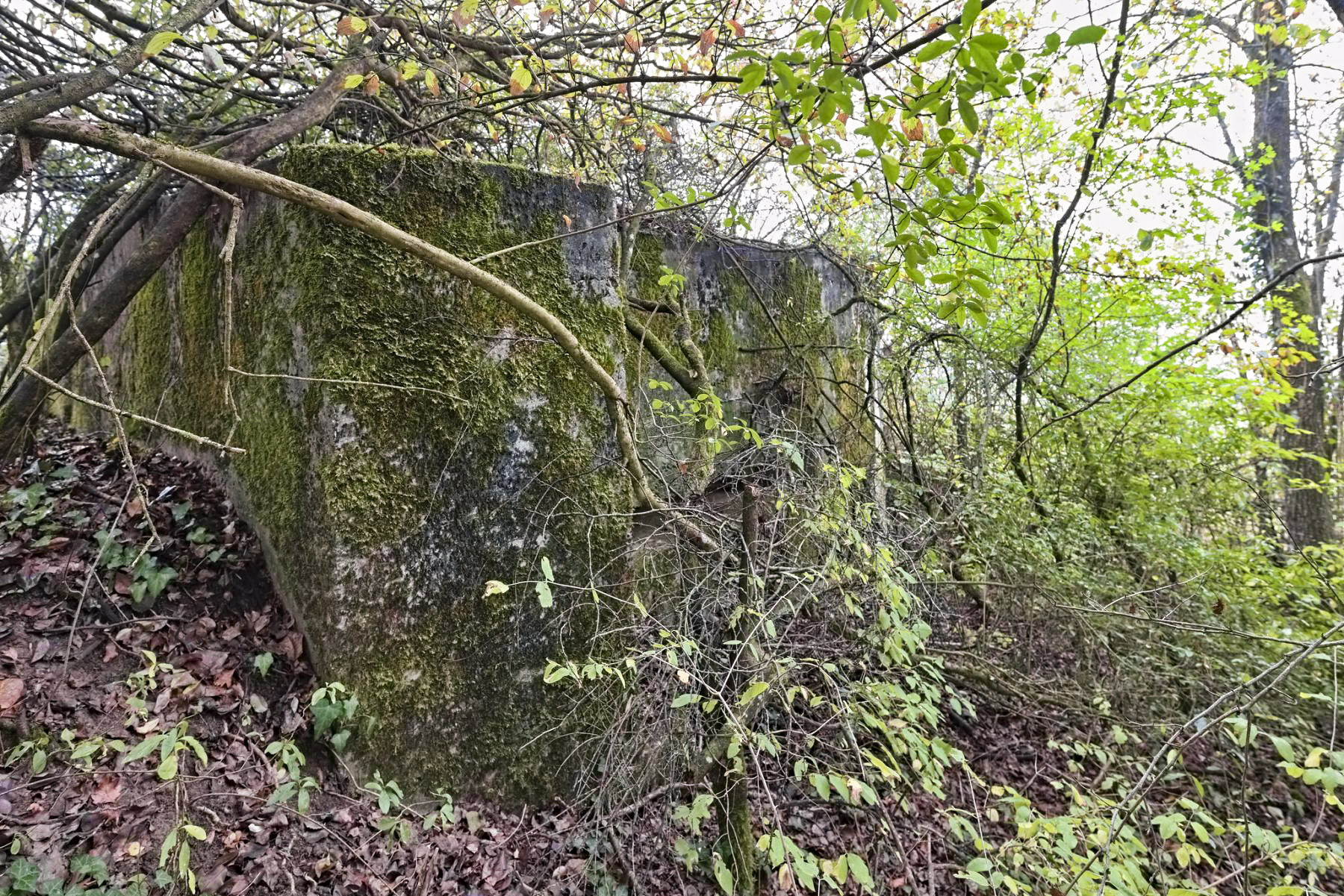 Ligne Maginot - A18 - (Blockhaus pour canon) -  - thierry caland