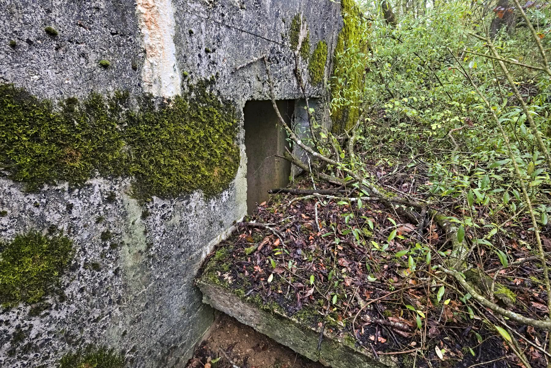 Ligne Maginot - A18 - (Blockhaus pour canon) -  - thierry caland