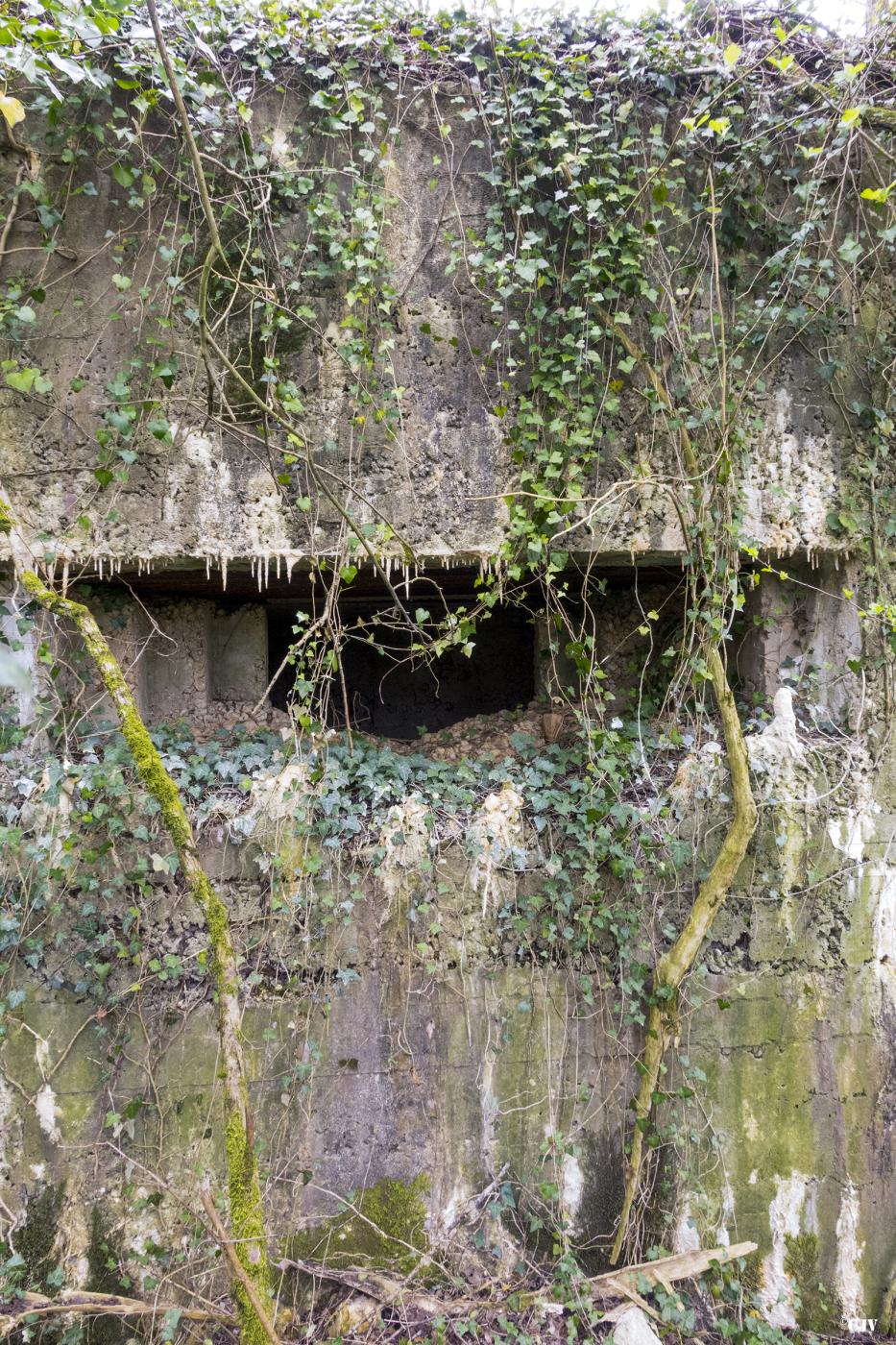 Ligne Maginot - G10 - (Blockhaus lourd type STG / STG-FCR - Simple) - Le créneau d'observation - Lia VERMEULEN