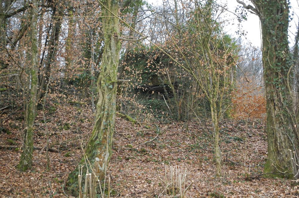 Ligne Maginot - G20 - (Blockhaus lourd type STG / STG-FCR - Simple) - l'ouvrage depuis la route en contrebas... Le dégel de ce mois de février rend l'aller jusqu'à louvrage des plus difficiles... 