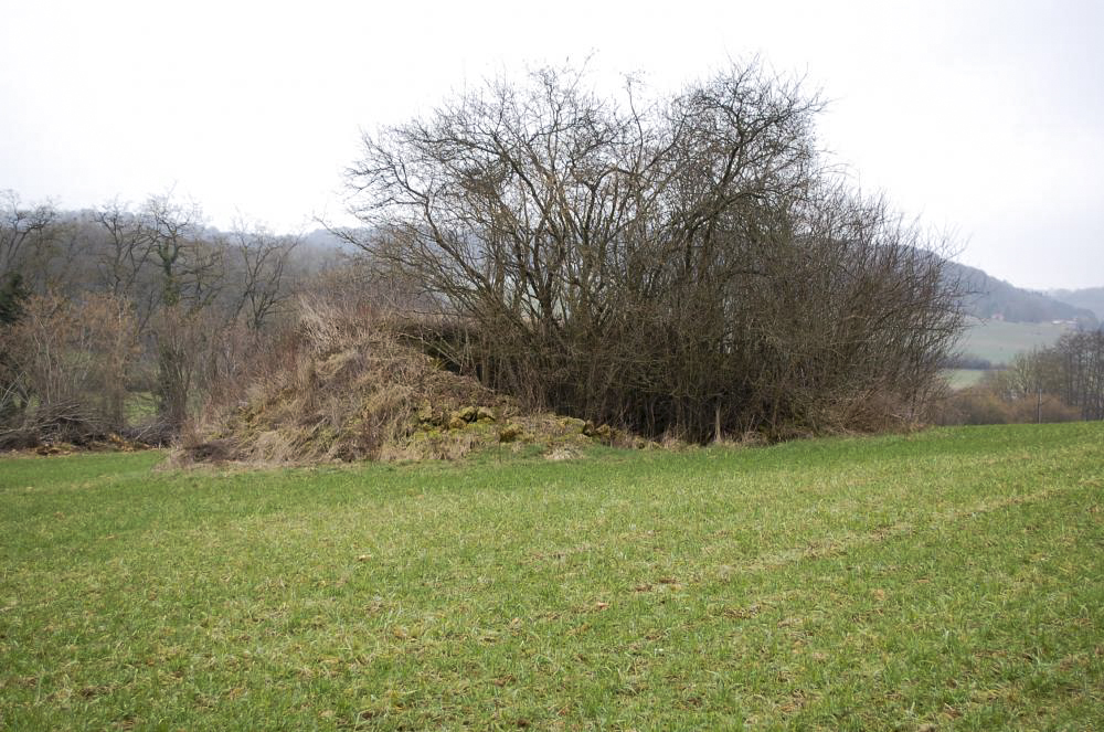 Ligne Maginot - K - (Blockhaus pour arme infanterie) - Le blockhaus planté dans un champ, avec la Belgique toute proche - Christian RICHON/devoitine520