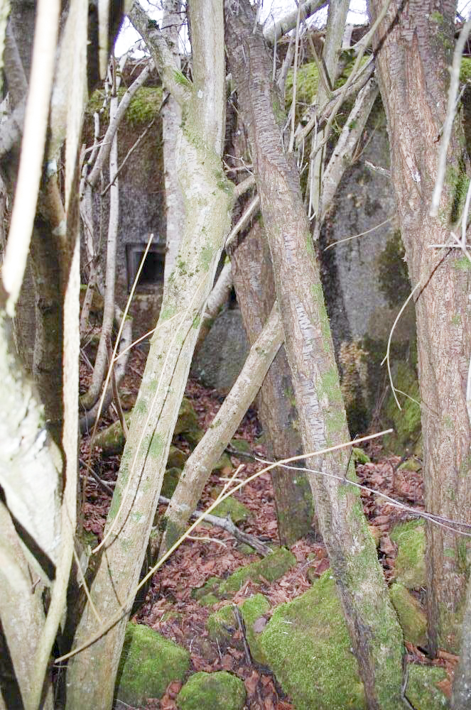 Ligne Maginot - K - (Blockhaus pour arme infanterie) - L'entrée ... Pas tres accessible! - Christian RICHON/devoitine520